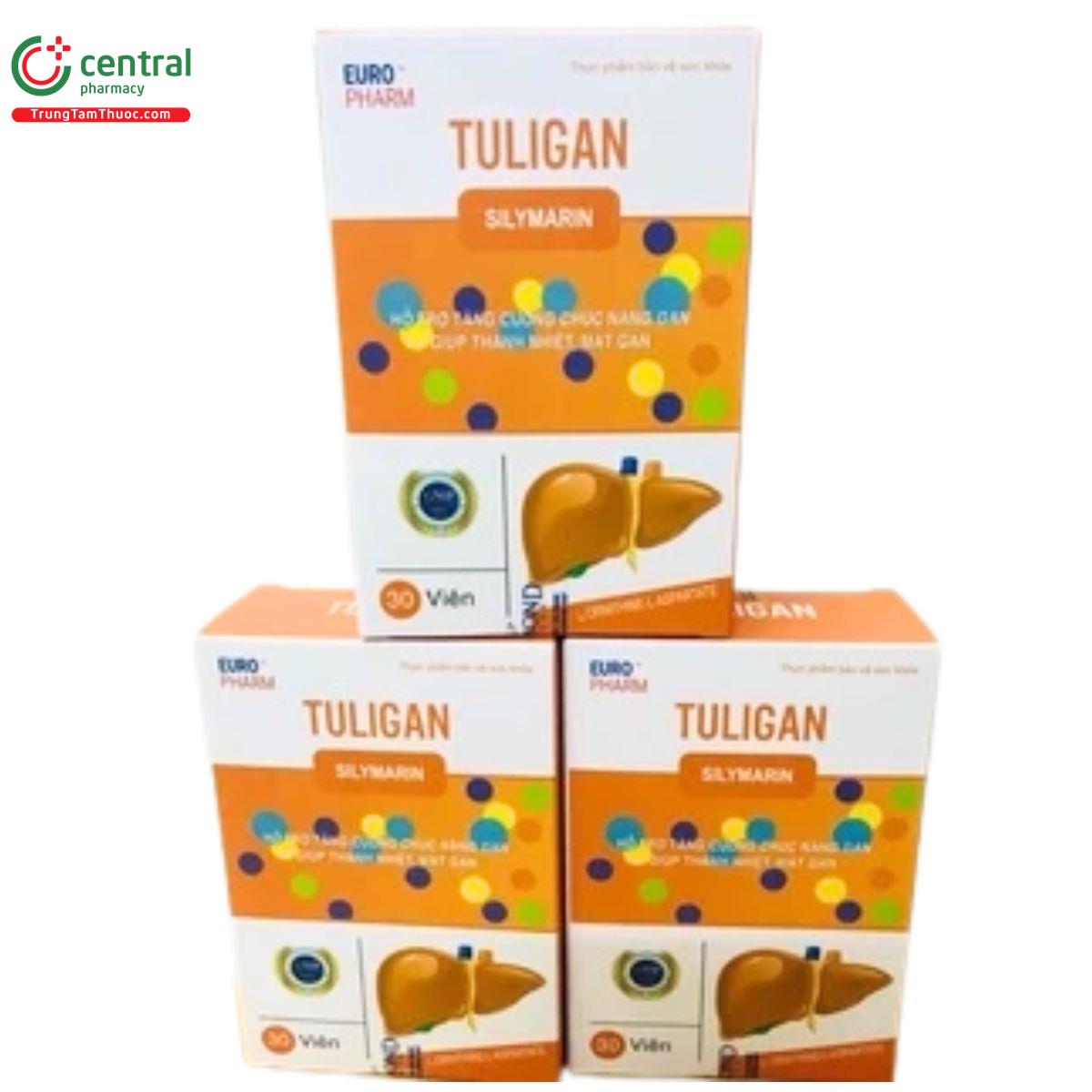 tuligan 2 G2645