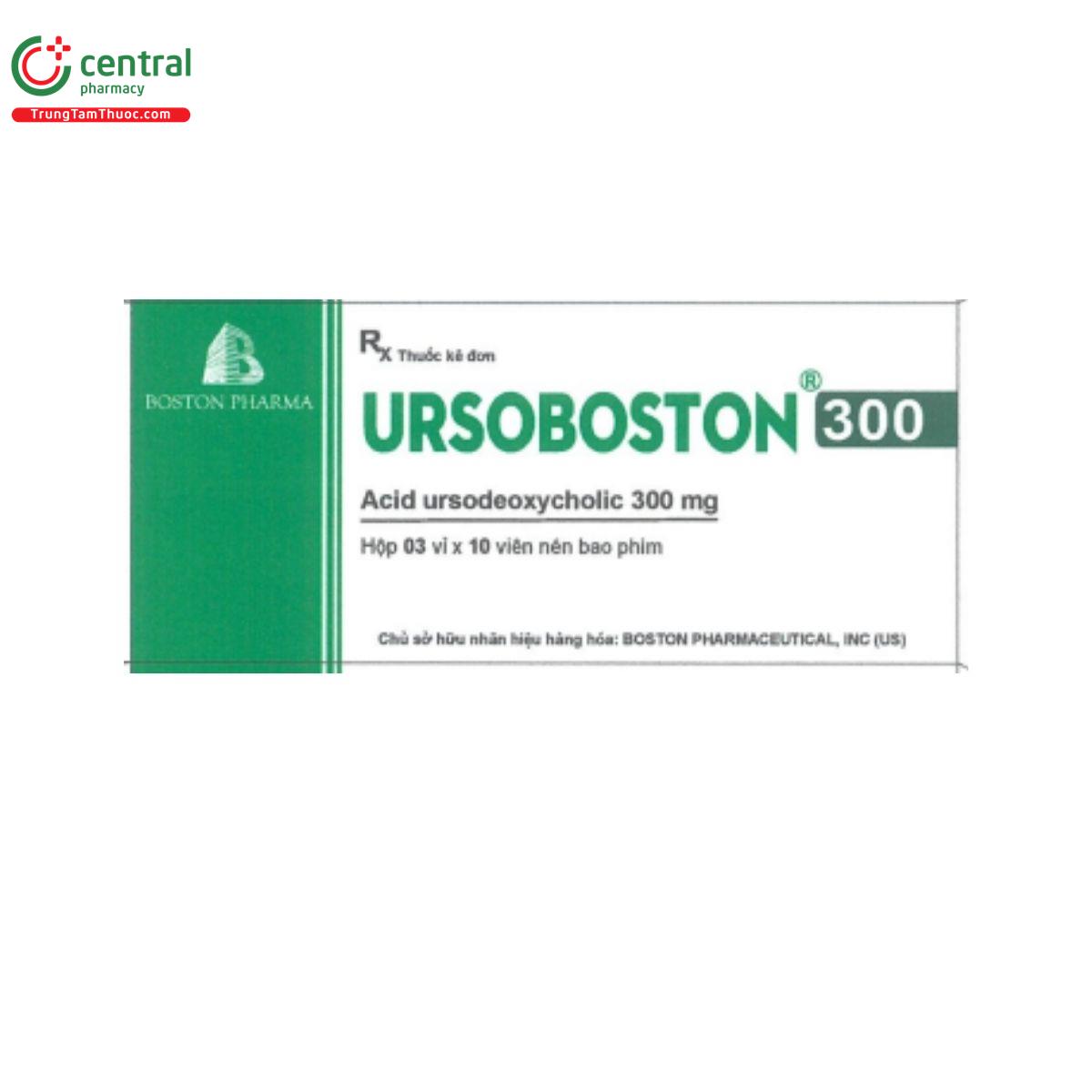 ursoboston 300 1 C1318 ursoboston 300 1 C1318