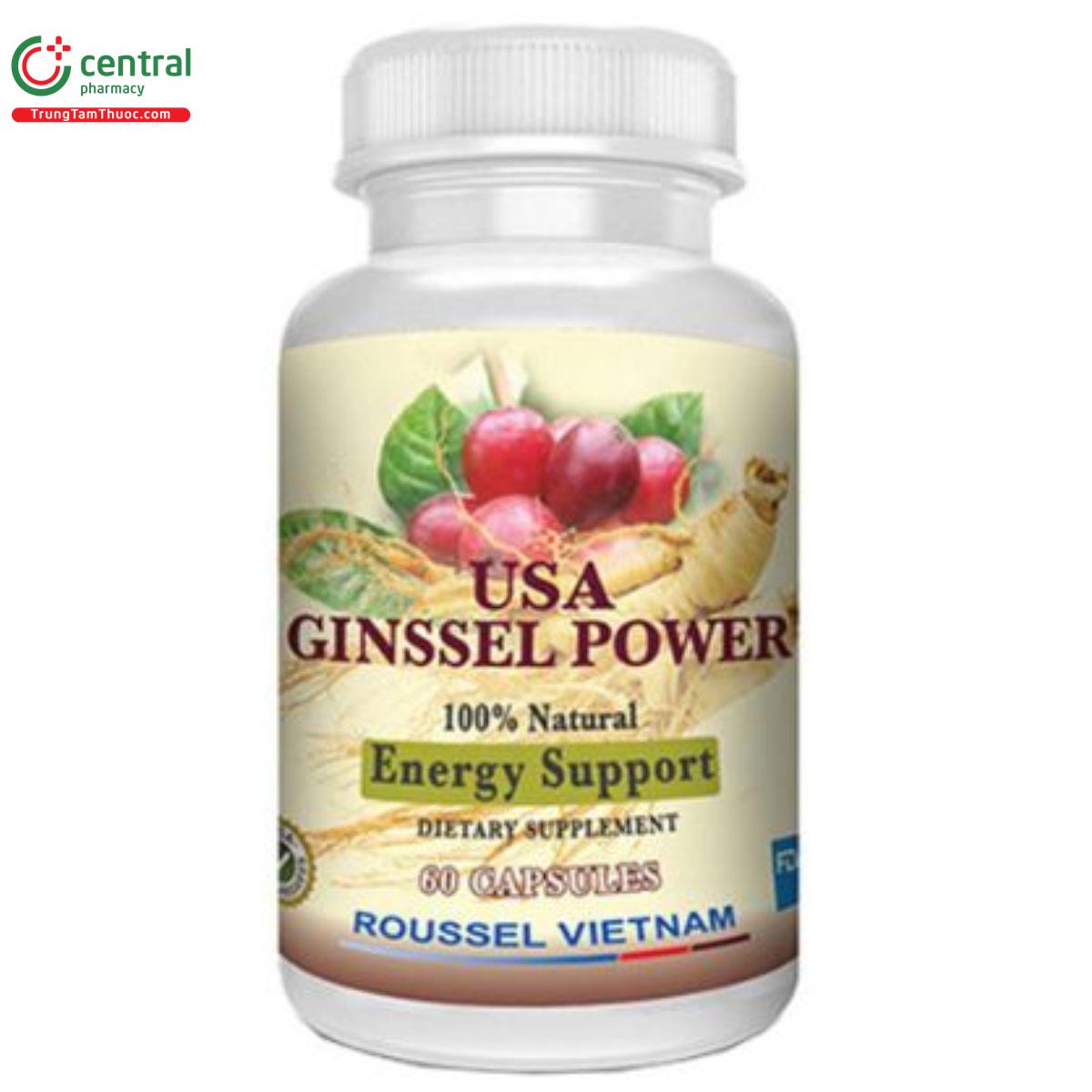 usa ginssel power 6 K4564