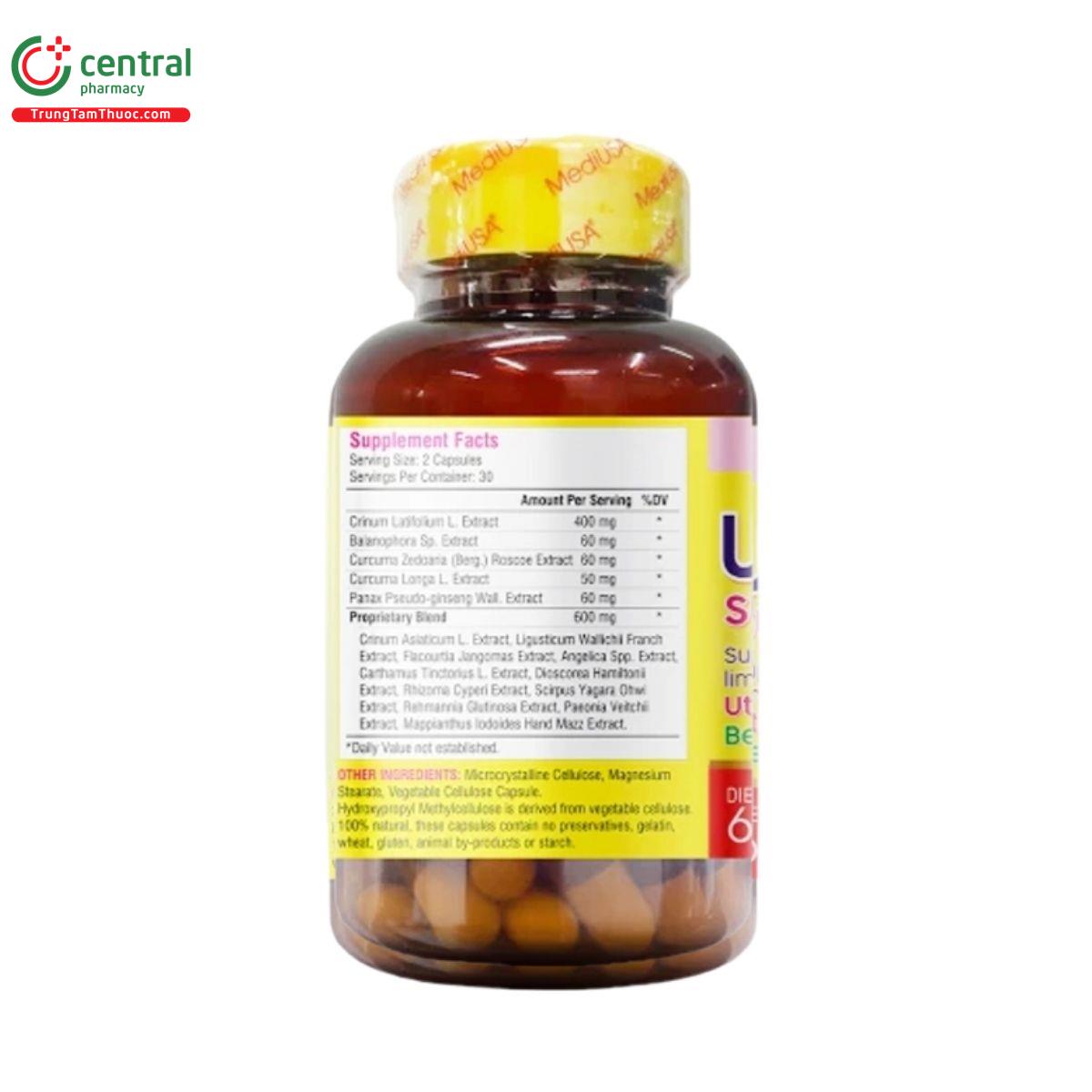 uterus ulcer support mediusa 3 J3076
