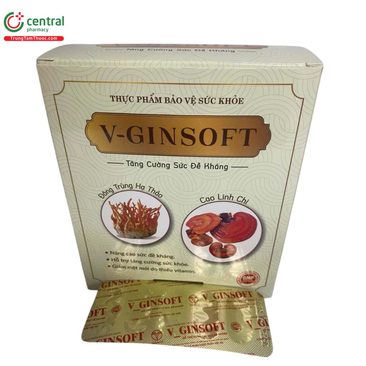 v ginsoft 1 K4881