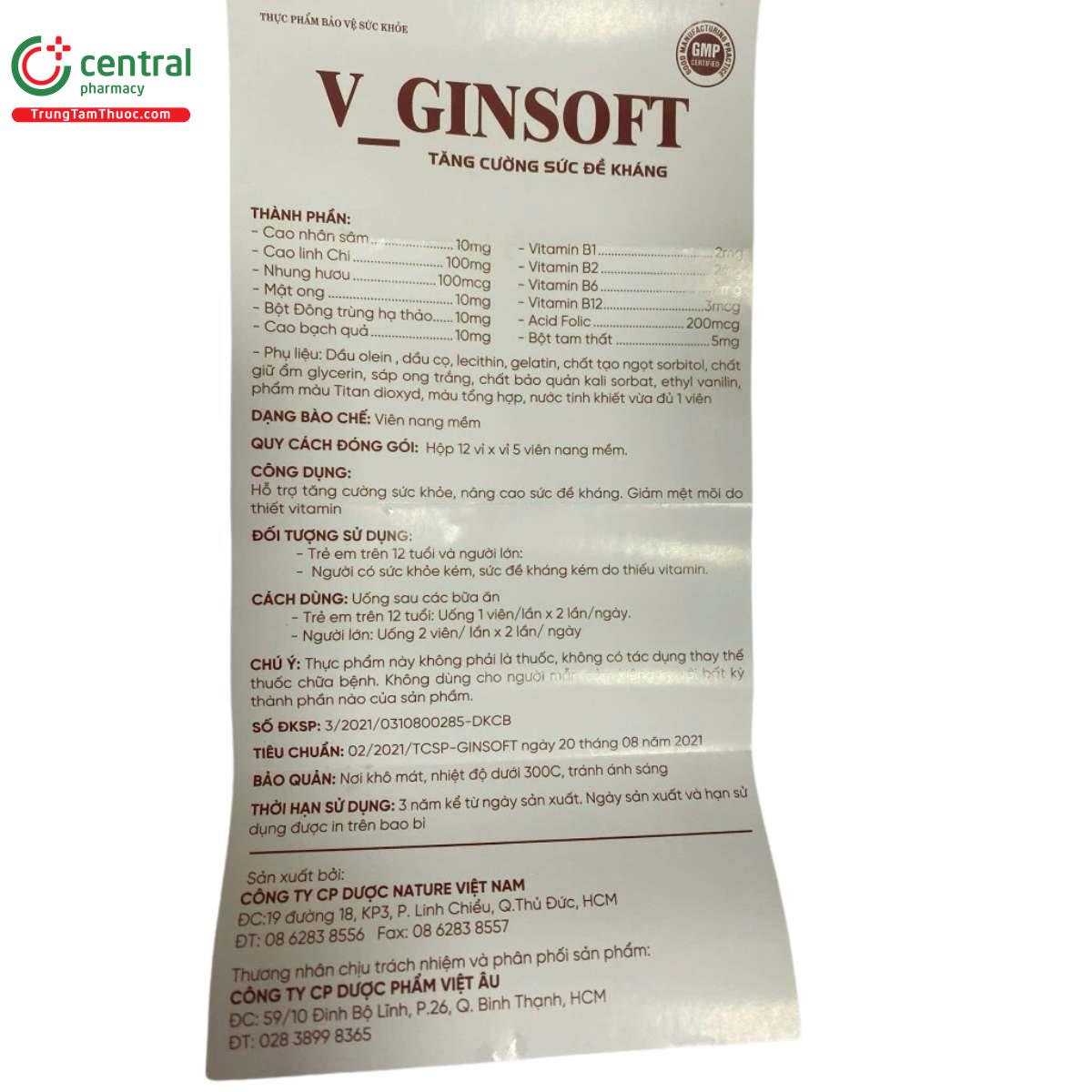 v ginsoft 4 S7211