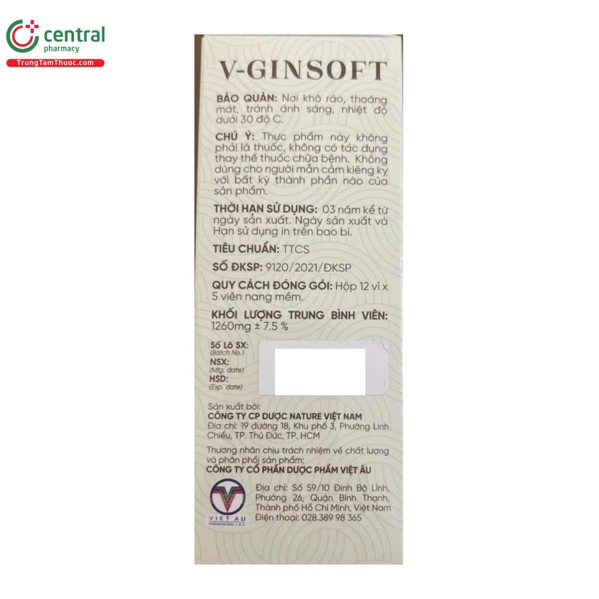 v ginsoft 6 P6582