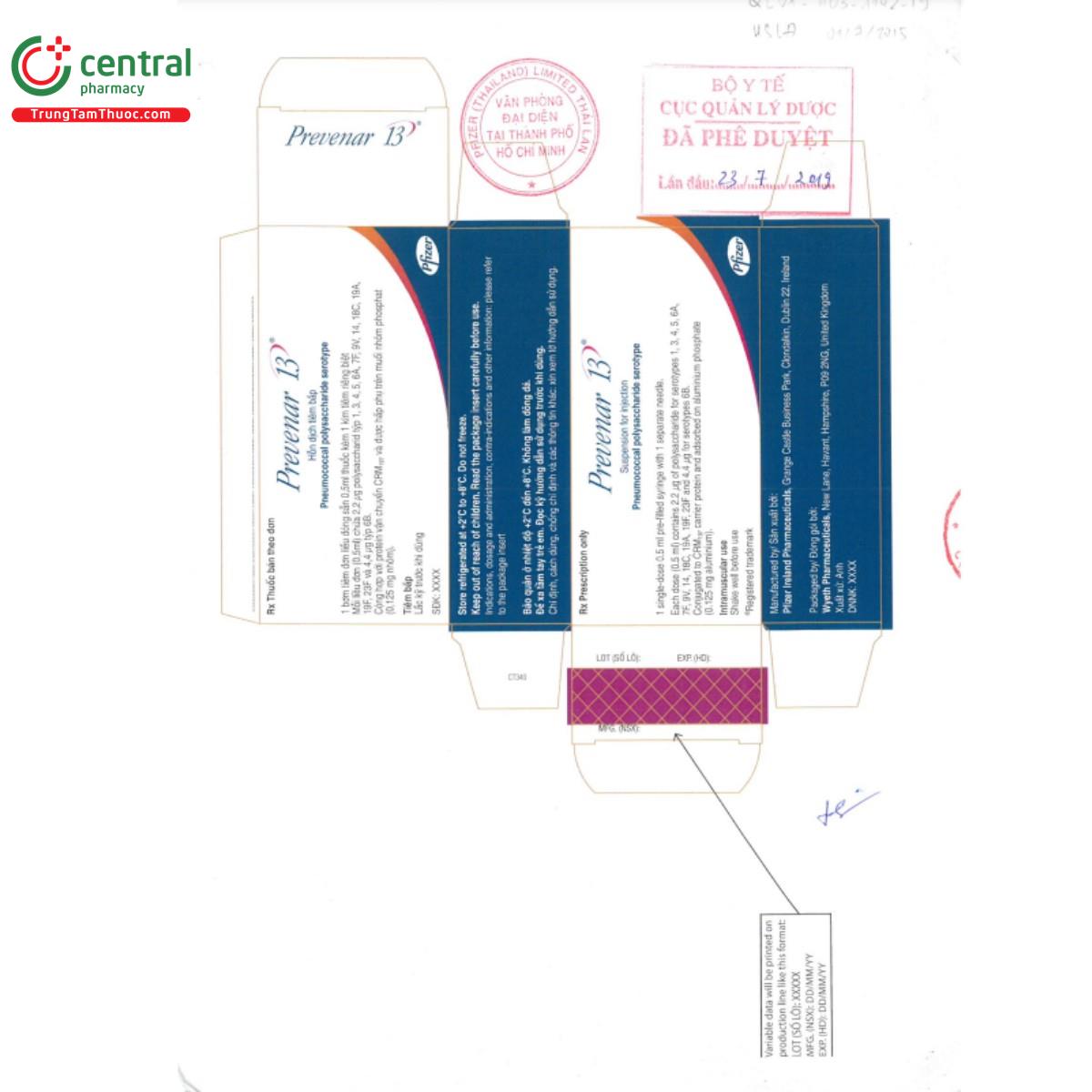 vaccin prevenar 13 5 V8363