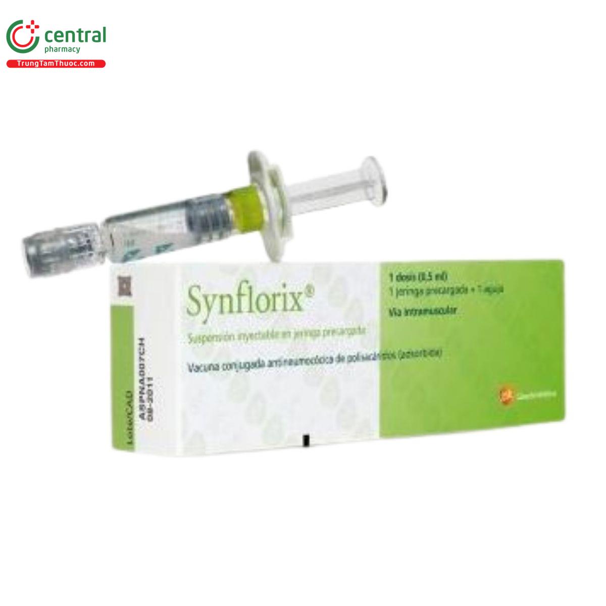 vaccine synflorix 4 Q6113