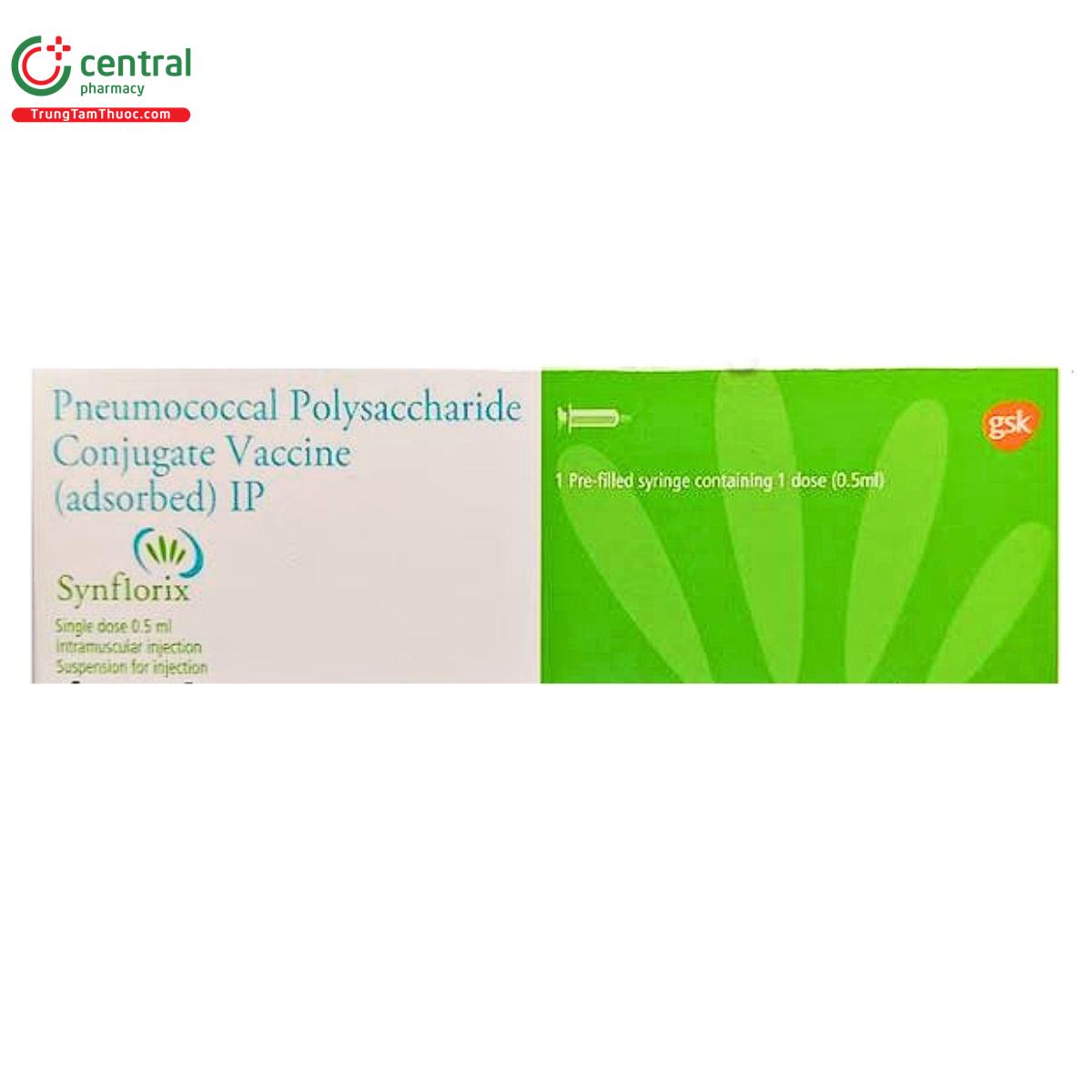 Vaccine Synflorix - Phòng ngừa bệnh do 10 chủng phế cầu khuẩn gây ra
