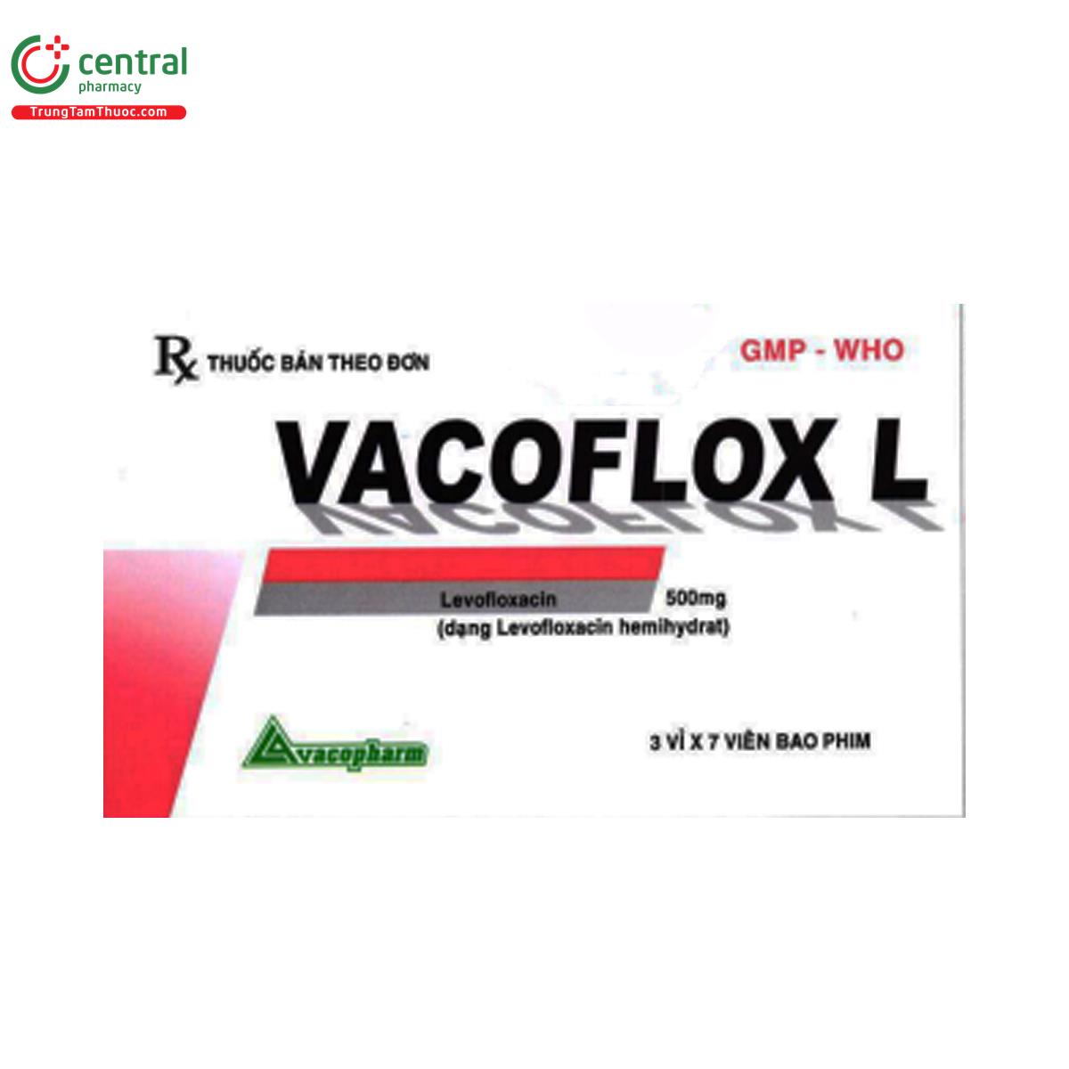 vacoflox l 500mg 2 V8055