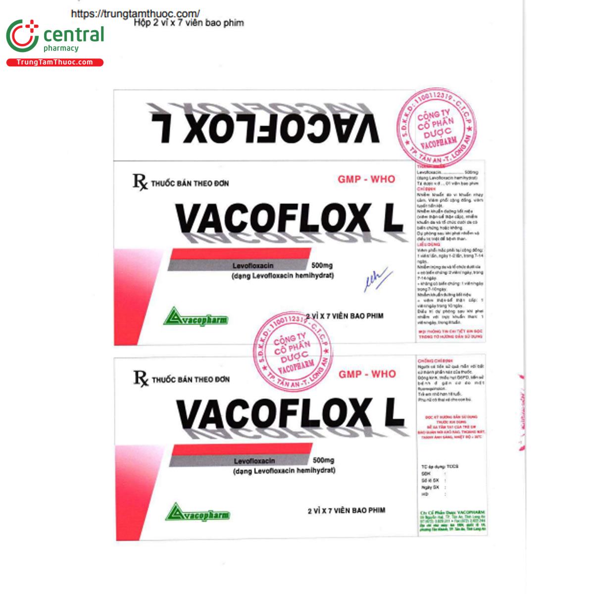vacoflox l 500mg 5 I3101