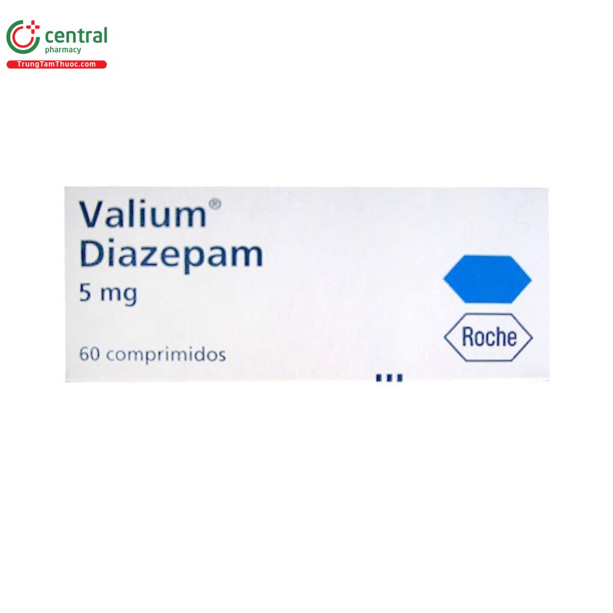 valium 1 E1300