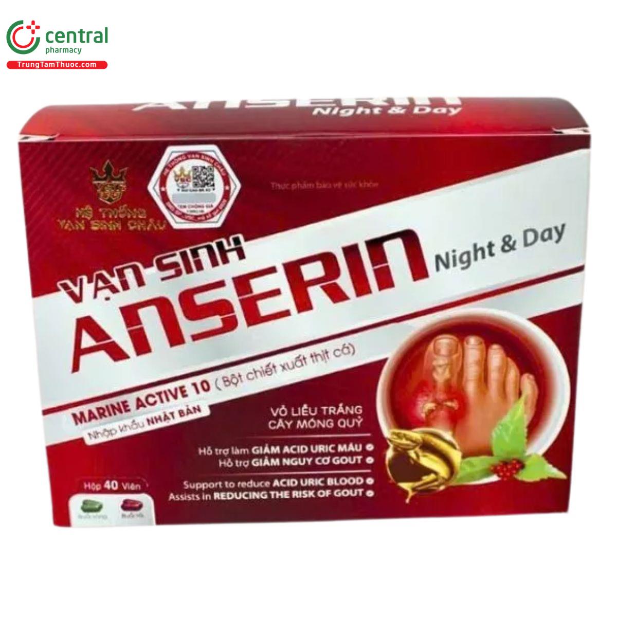 van sinh anserin night day 2 U8787