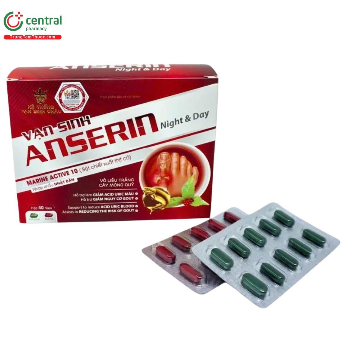 van sinh anserin night day 3 T7701