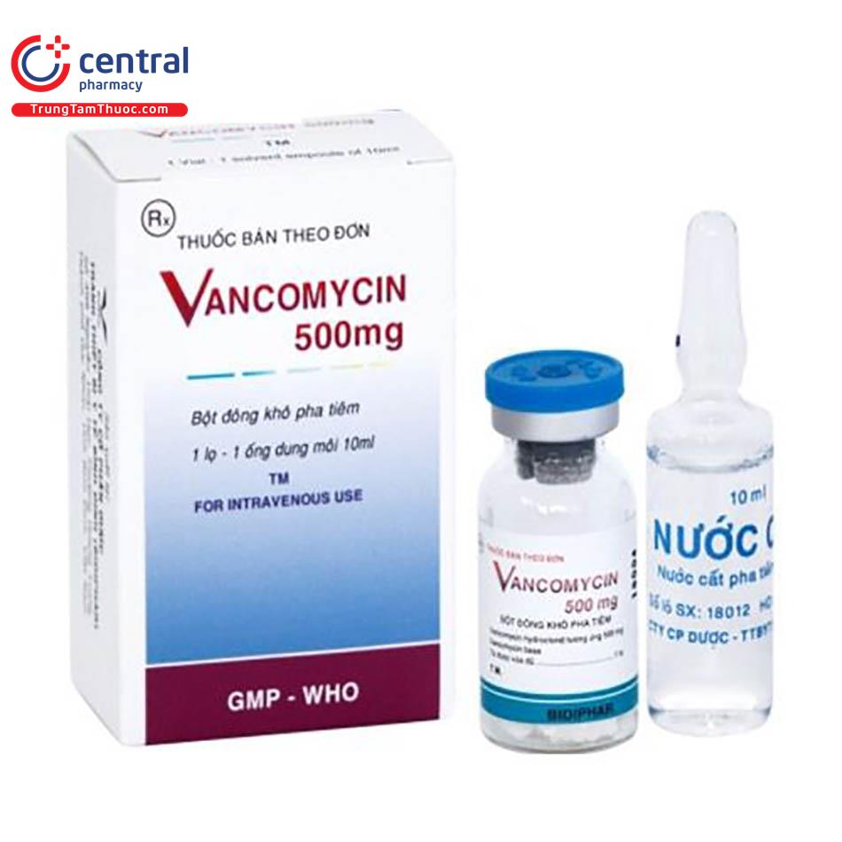 vancomycin 500mg bidiphar hop 1 ong 1 P6473