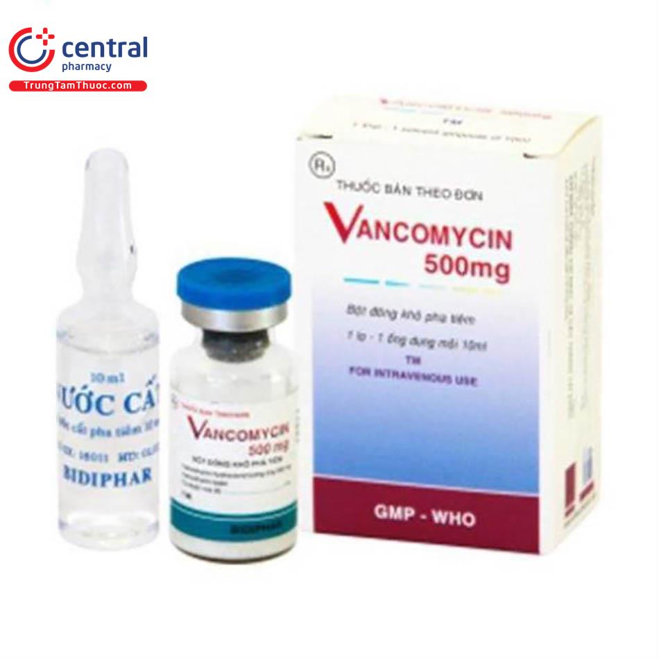 vancomycin 500mg bidiphar hop 1 ong 2 Q6066