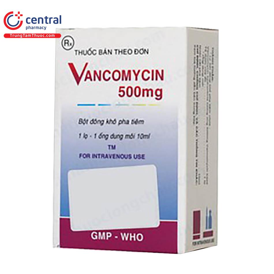 vancomycin 500mg bidiphar hop 1 ong 3 V8108