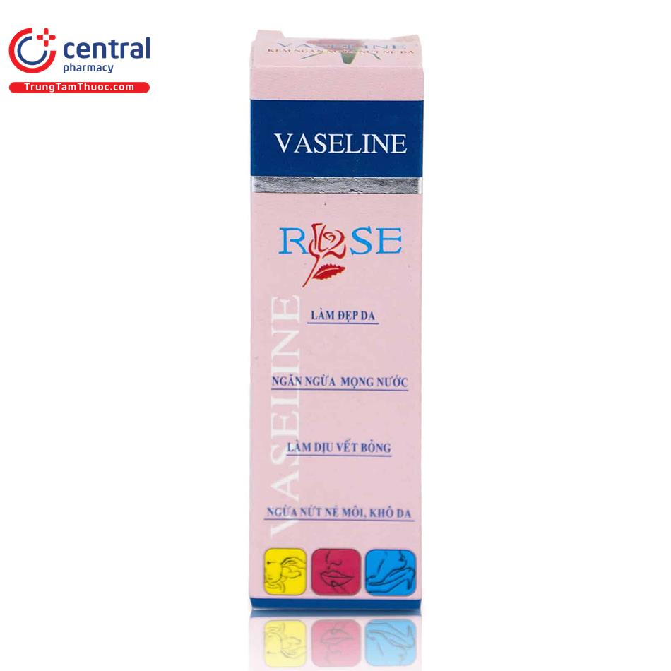 vaseline rose 6 U8127