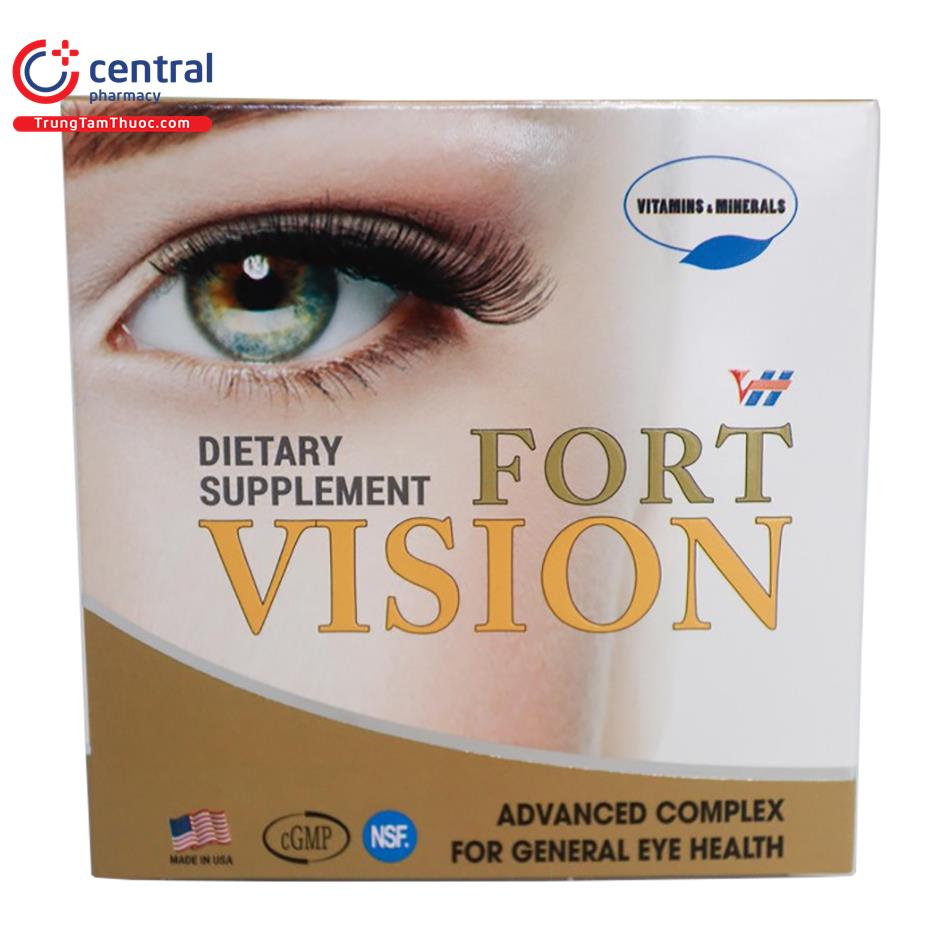 vh fort vision 1 J4461