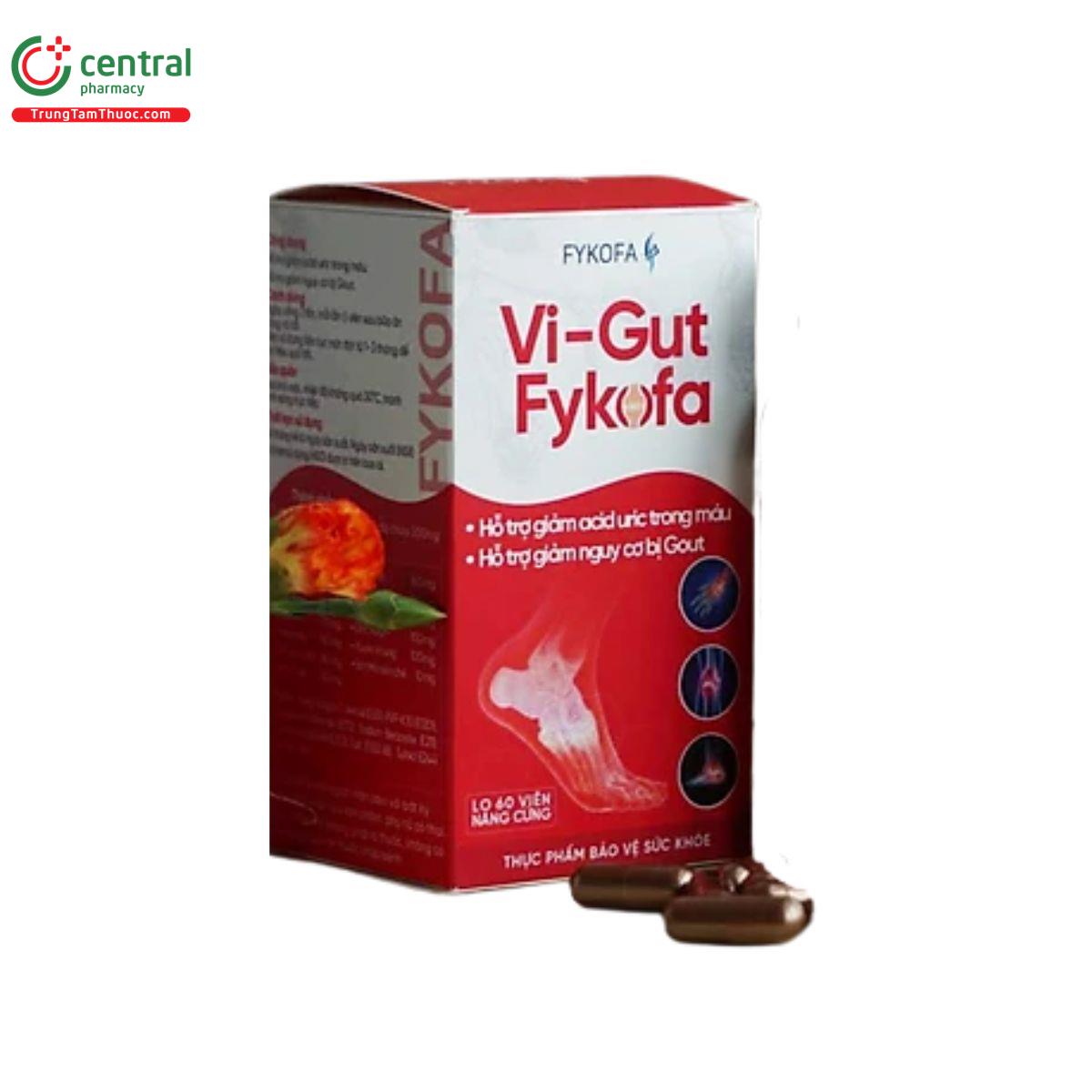 vi gut fykofa 3 P6750