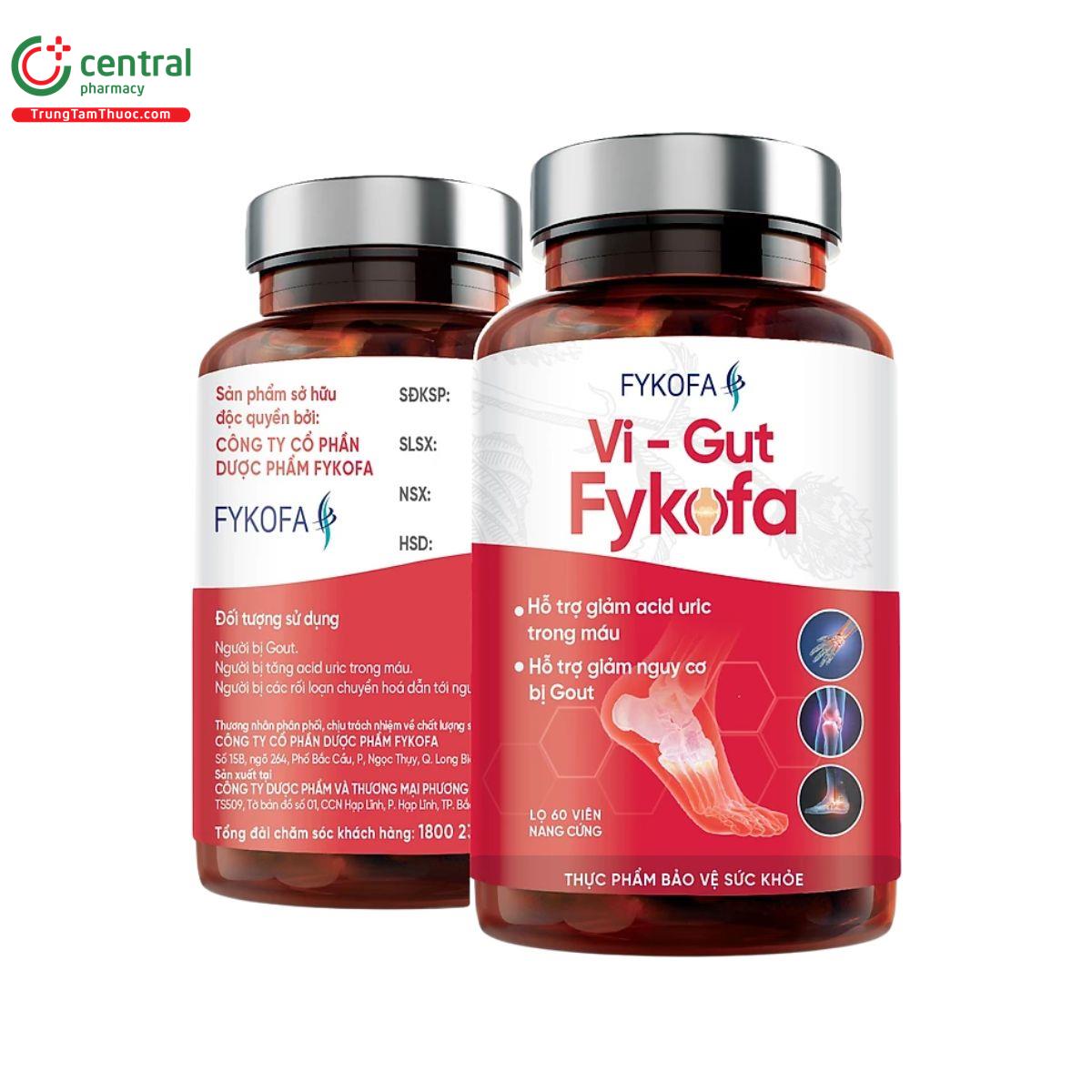 vi gut fykofa 4 A0406