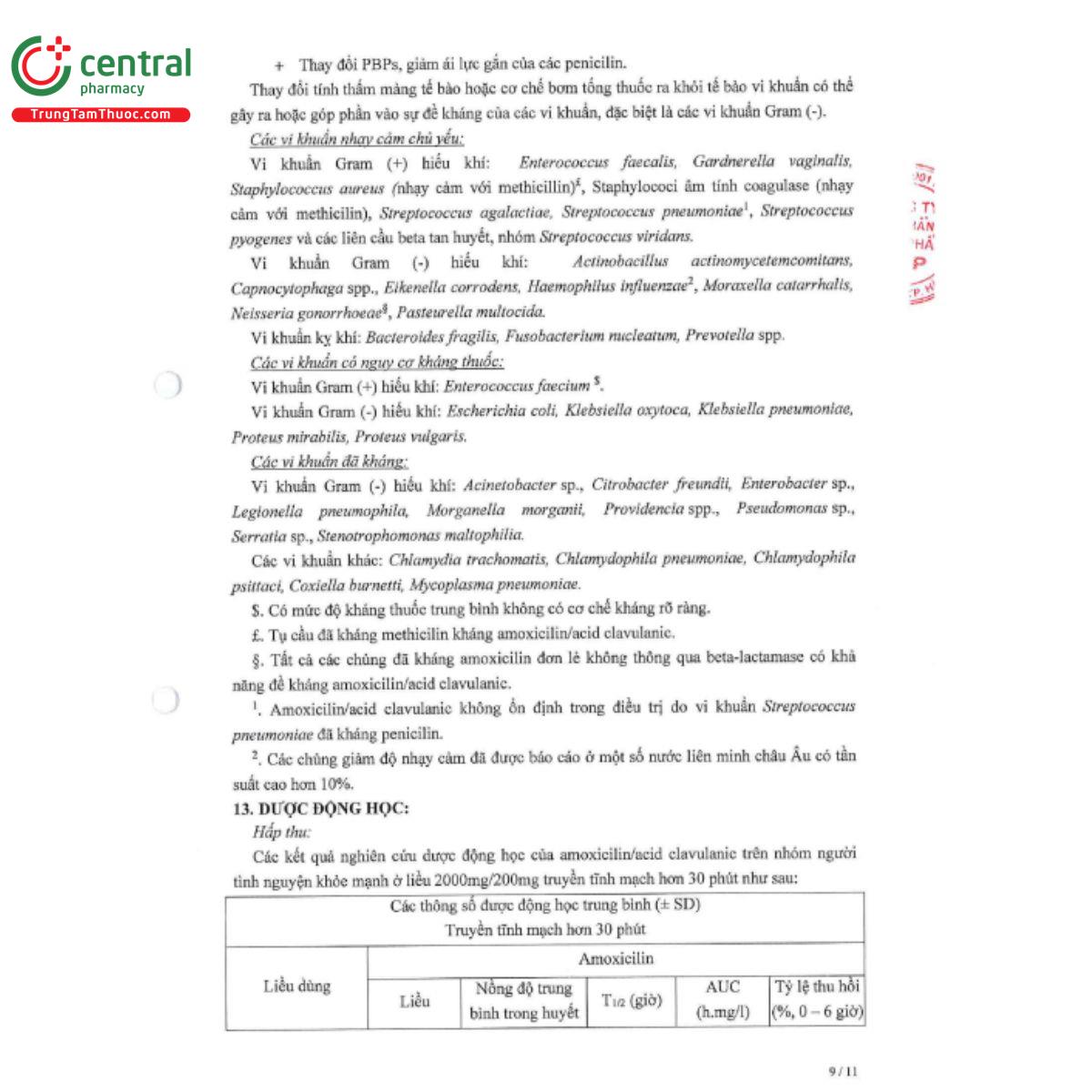 viciclav 11 F2025 viciclav 11 F2025