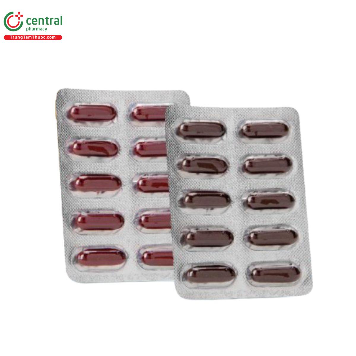 vien an ngu ngon khanh nhat 4 E1677 vien an ngu ngon khanh nhat 4 E1677