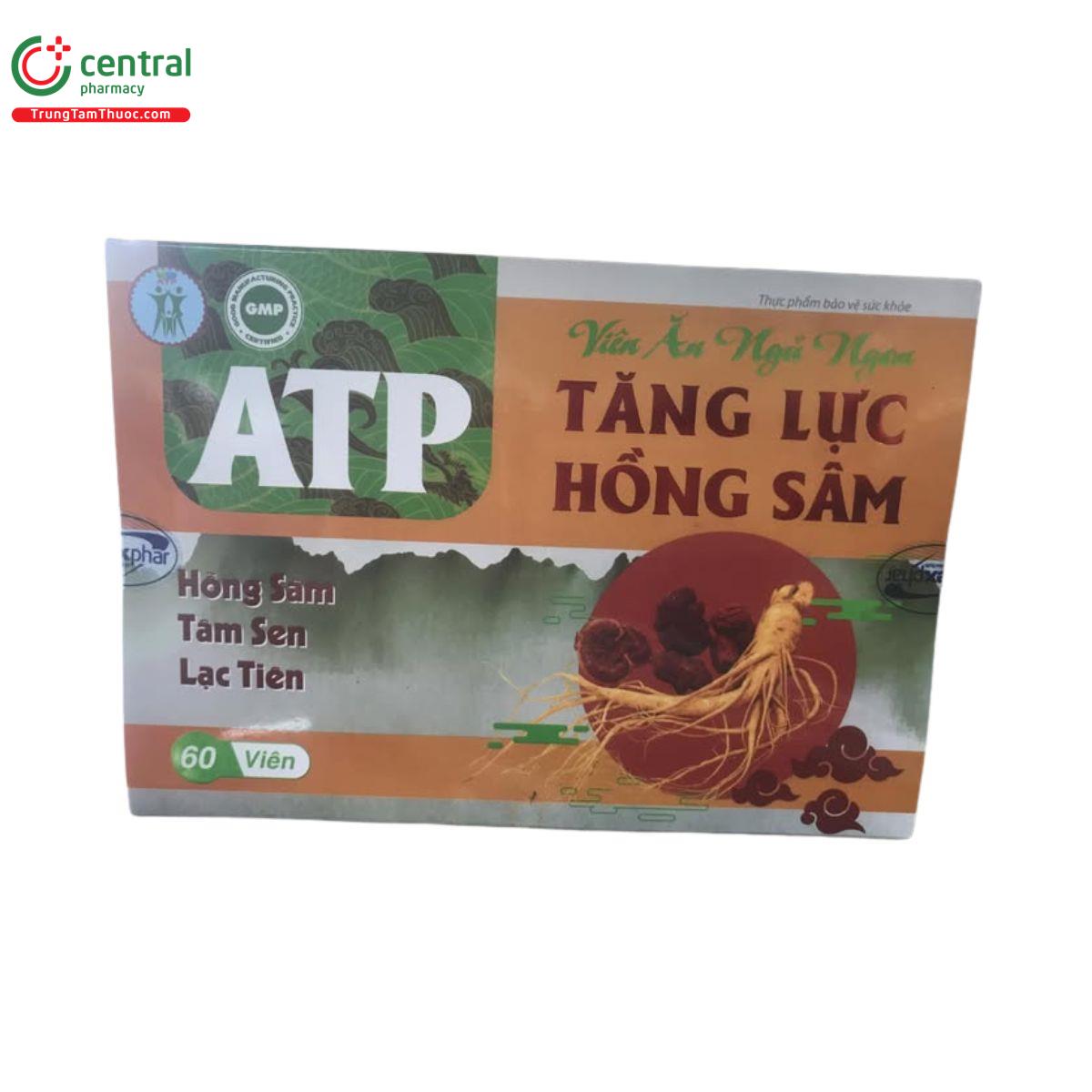 vien an ngu ngon tang luc hong sam atp 1 E1185