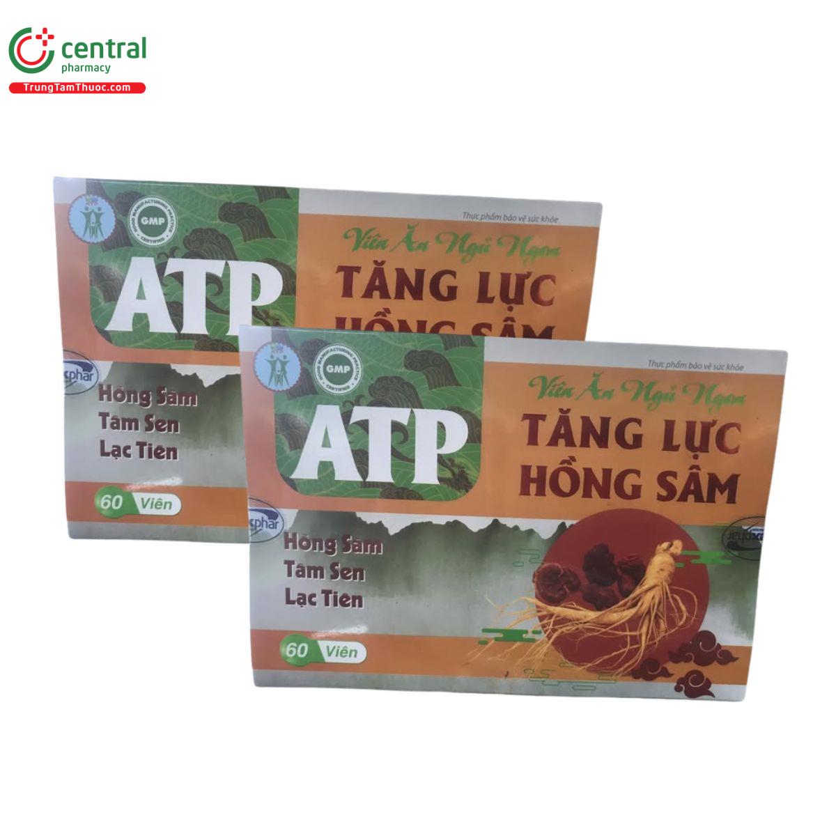 vien an ngu ngon tang luc hong sam atp 2 K4722