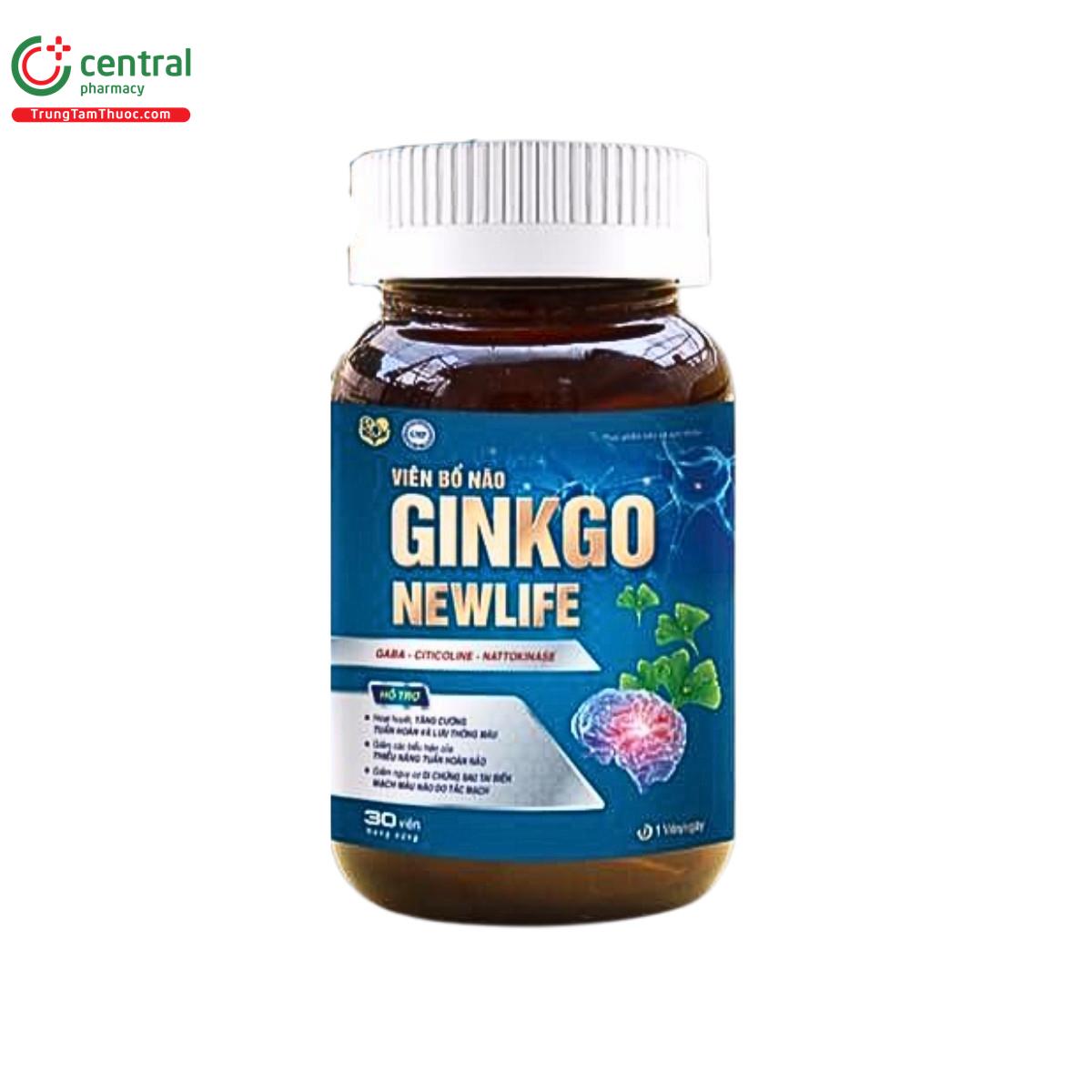 vien bo nao ginkgo newlife 3 D1844 vien bo nao ginkgo newlife 3 D1844