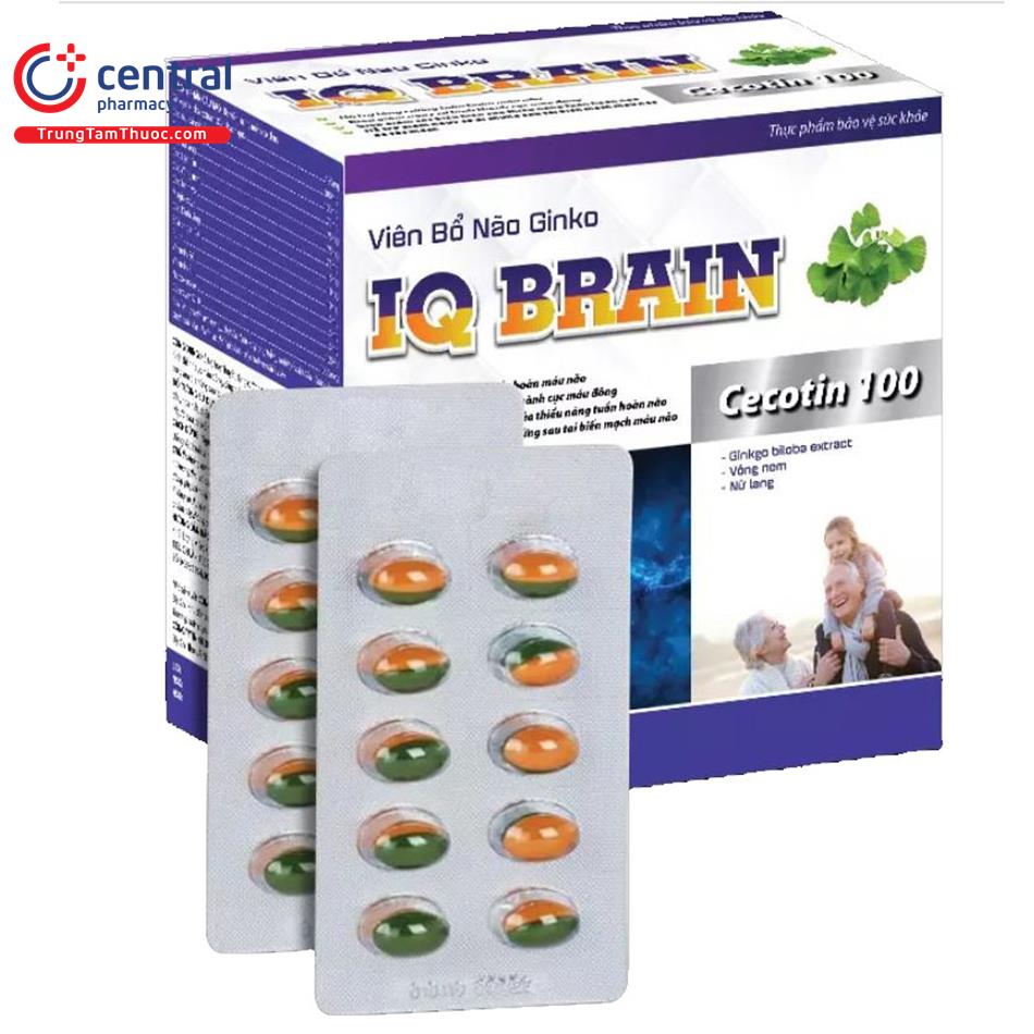 vien bo nao ginko iq brain cecotin 100 6 D1803