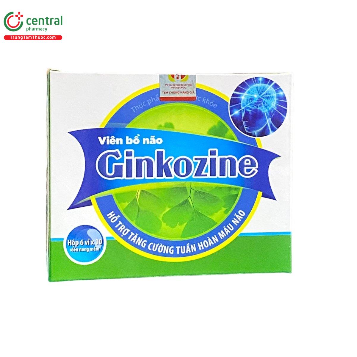 vien bo nao ginkozine 1 V8061 vien bo nao ginkozine 1 V8061