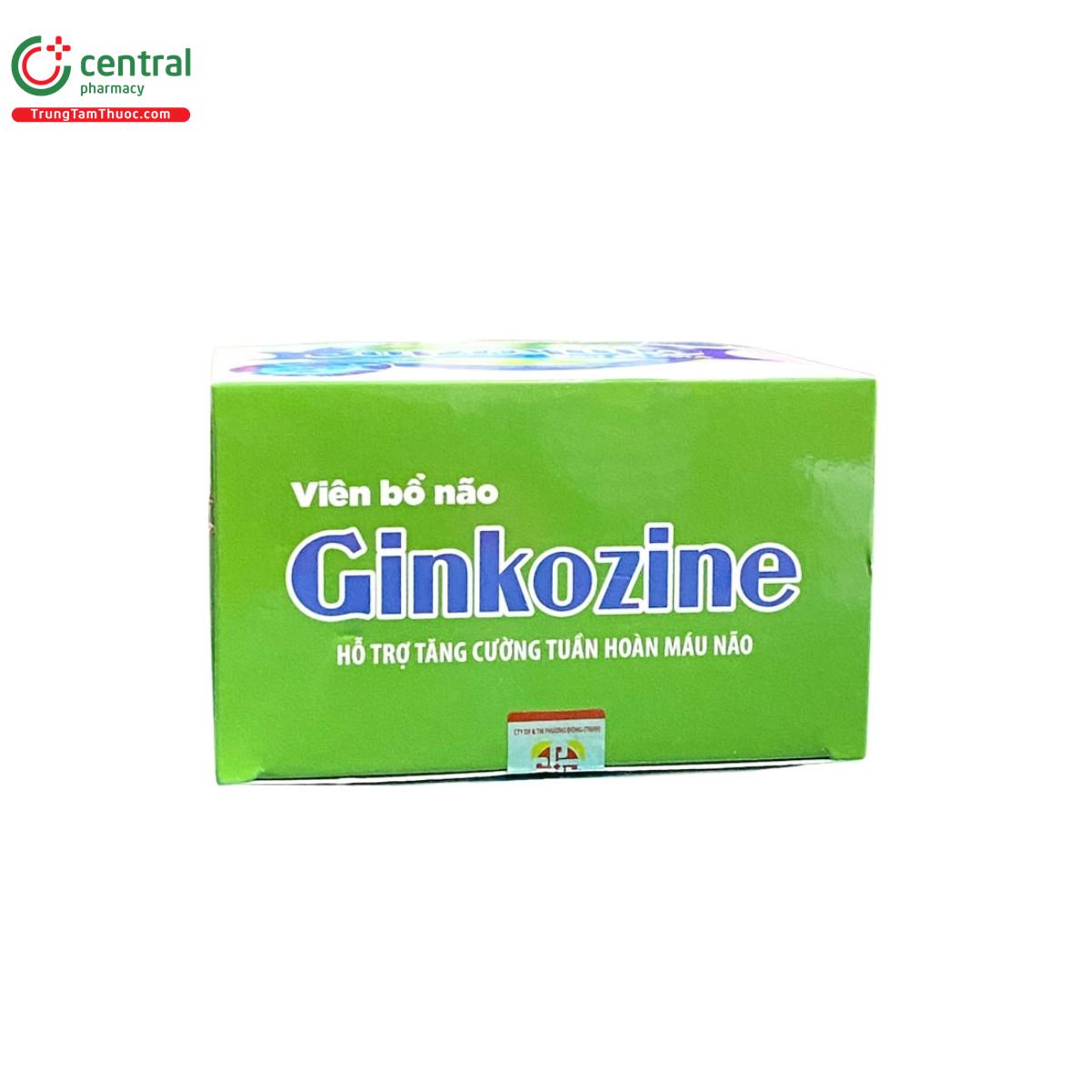 vien bo nao ginkozine 5 E1717 vien bo nao ginkozine 5 E1717
