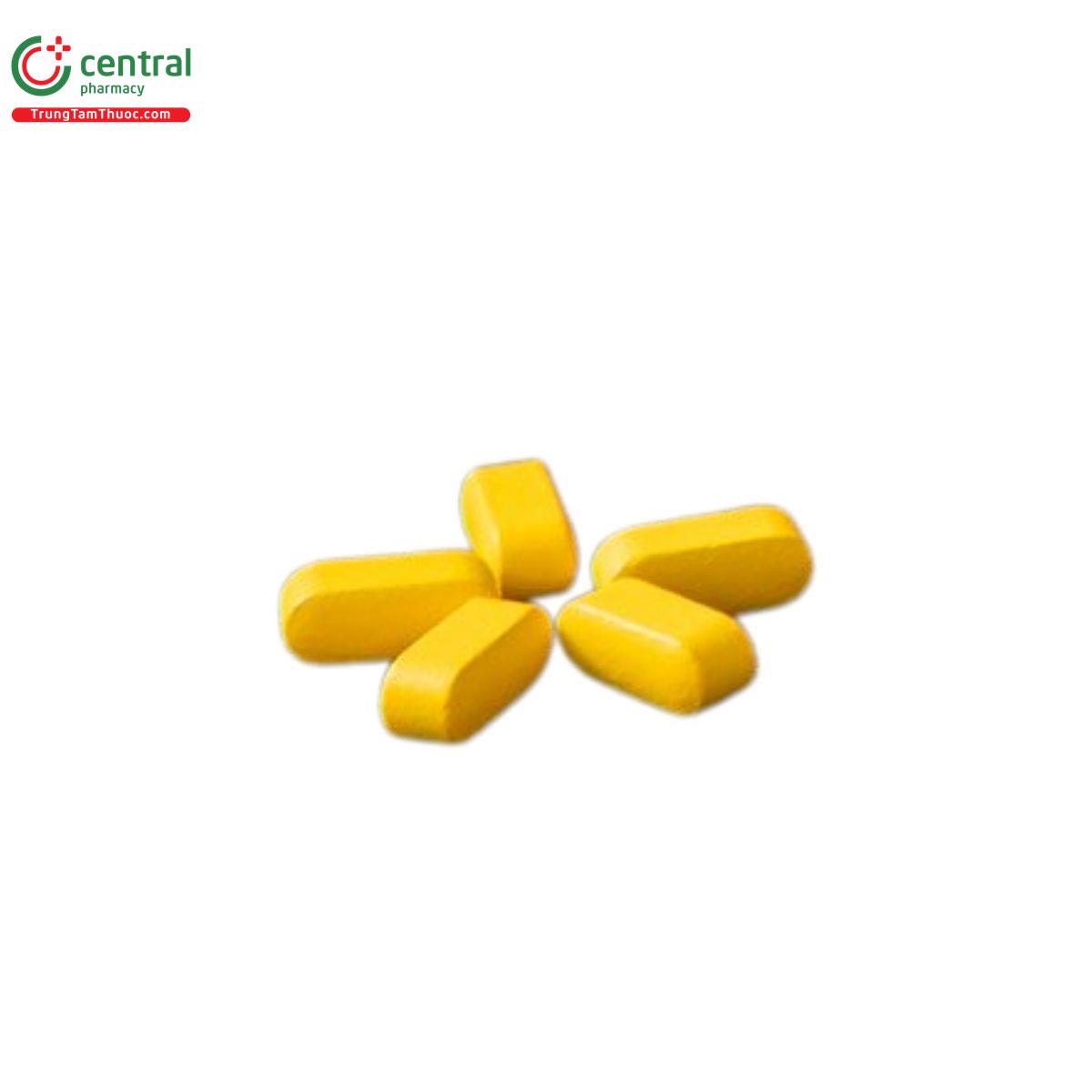 vien bo than banikha 10 T8145