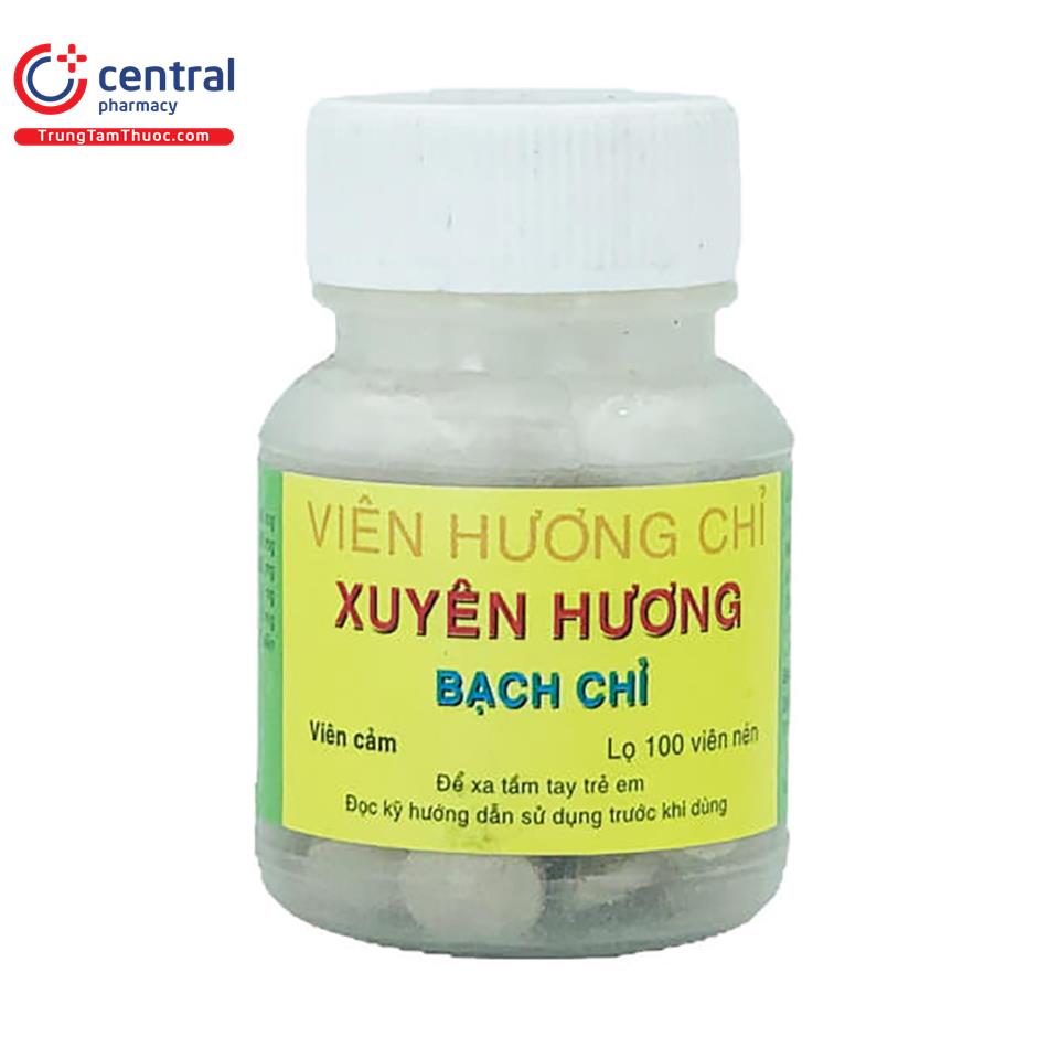 vien huong chi 1 T7408