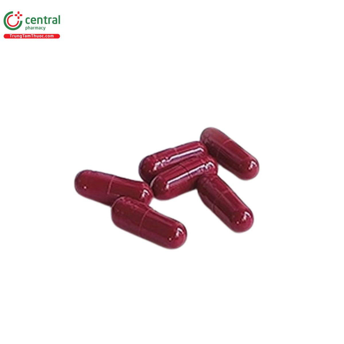 vien khop gramine 5 L4785