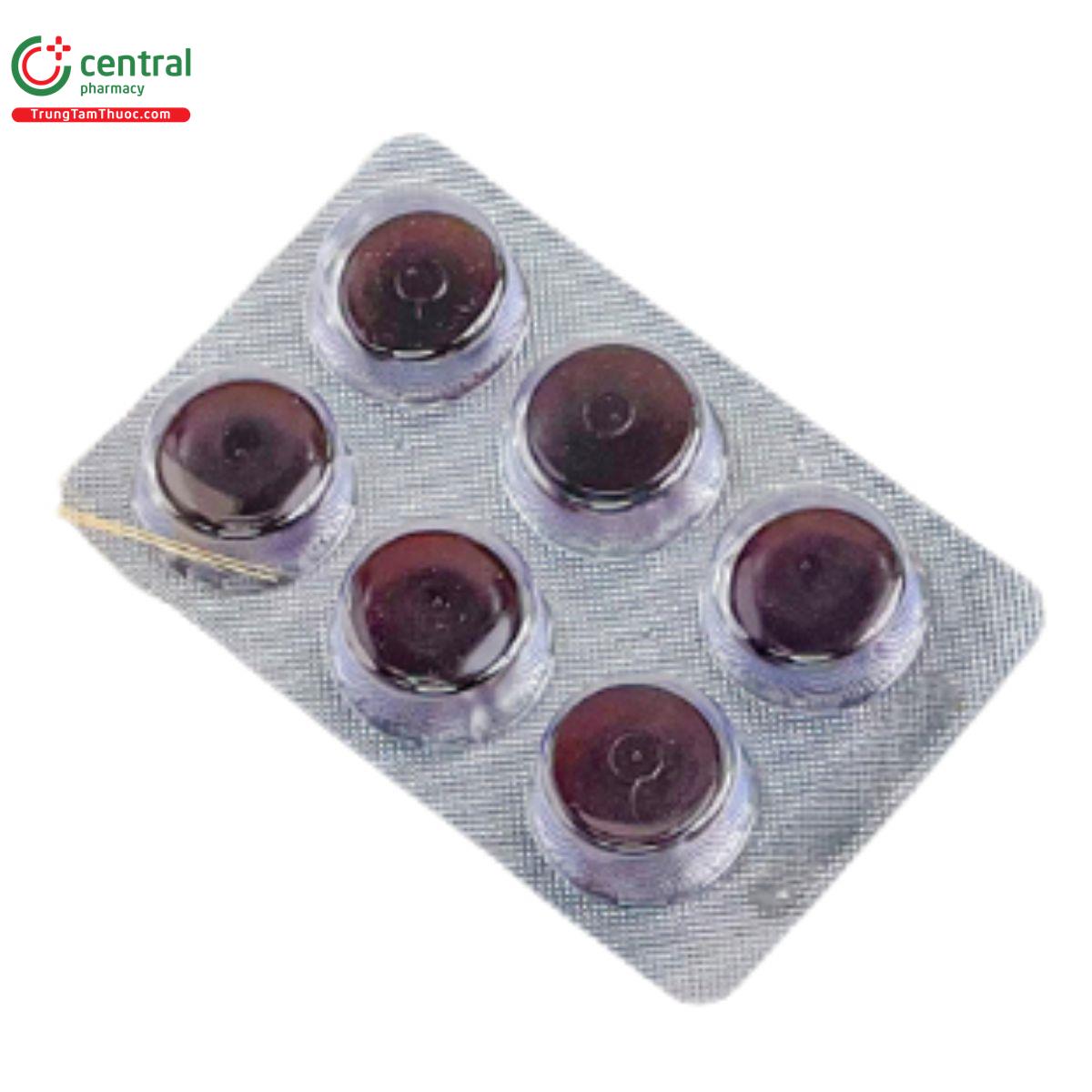 vien ngam bo phe banikha 8 E2504