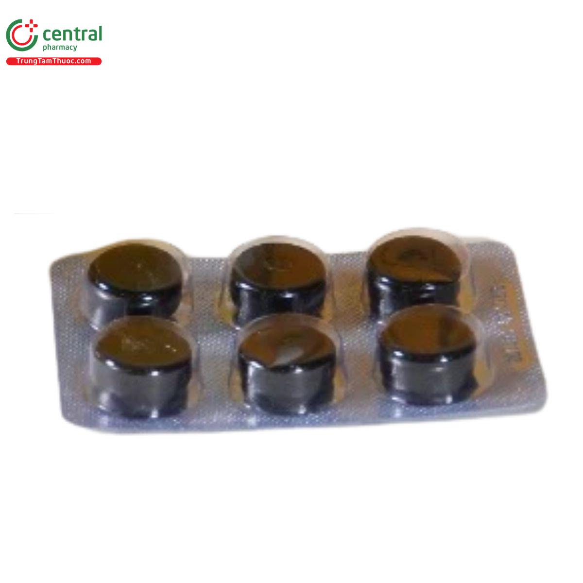 vien ngam bo phe banikha 9 U8857