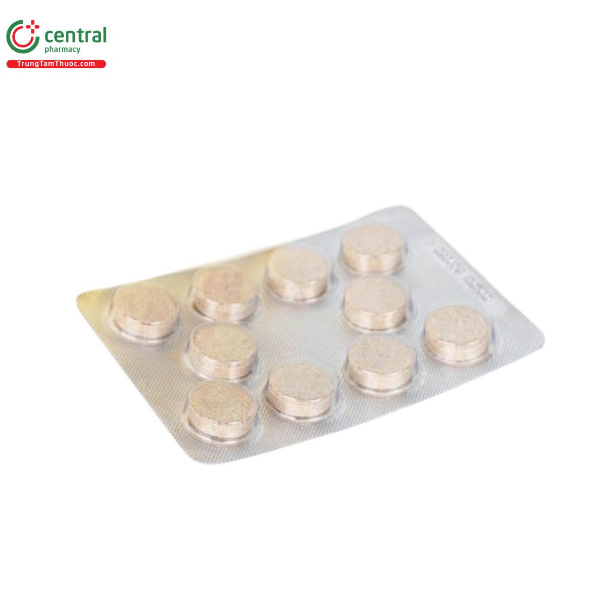 vien ngam bo phe kha tu tin phong 10 C1537