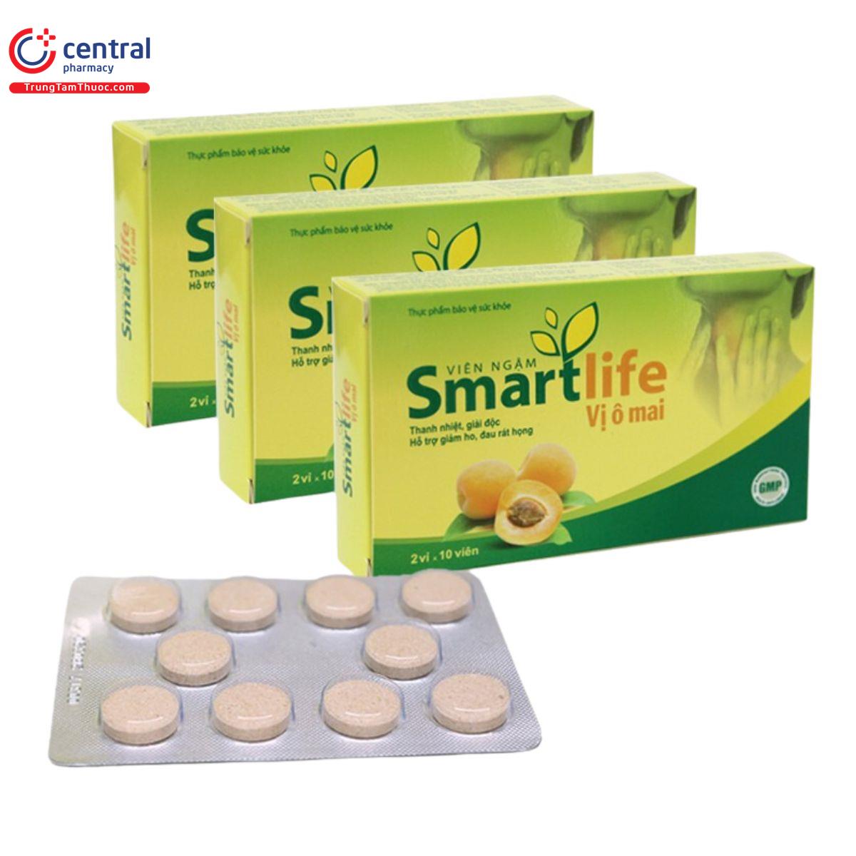 vien ngam smartlife 2 N5142