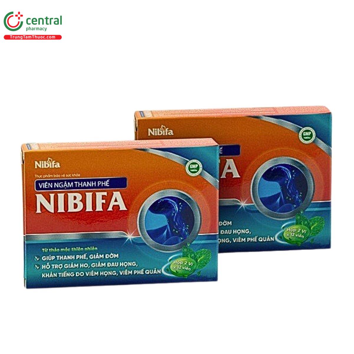 vien ngam thanh phe nibifa 2 G2417