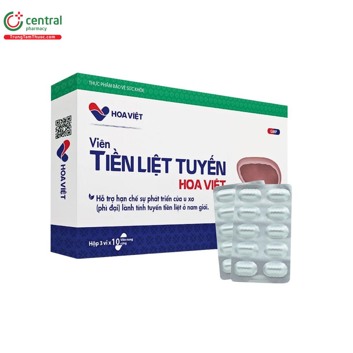 vien tien liet tuyen hoa viet 2 J3053