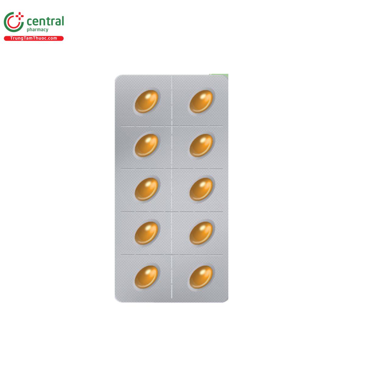 vietlife curmin 22 4 L4371