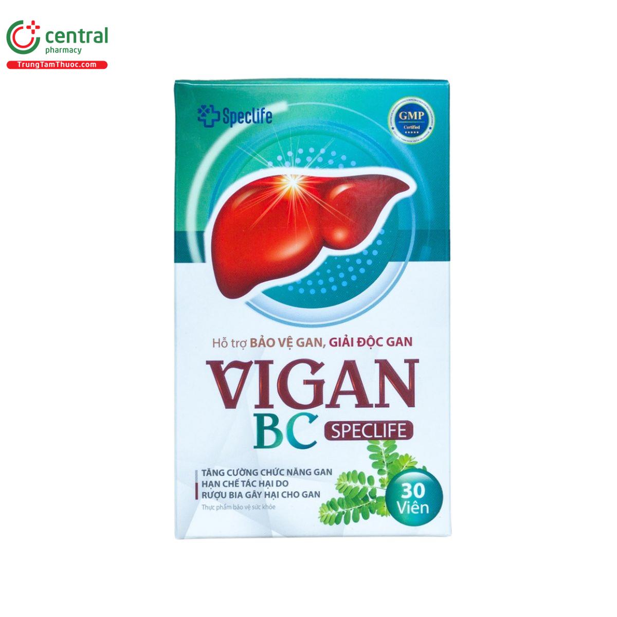 vigan bc speclife 2 O5012