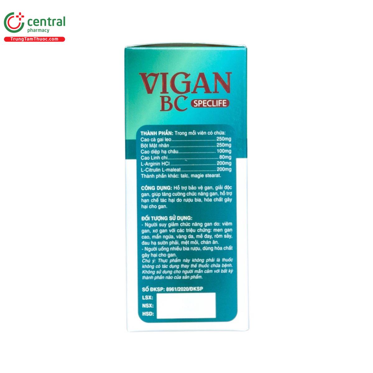 vigan bc speclife 5 E1317