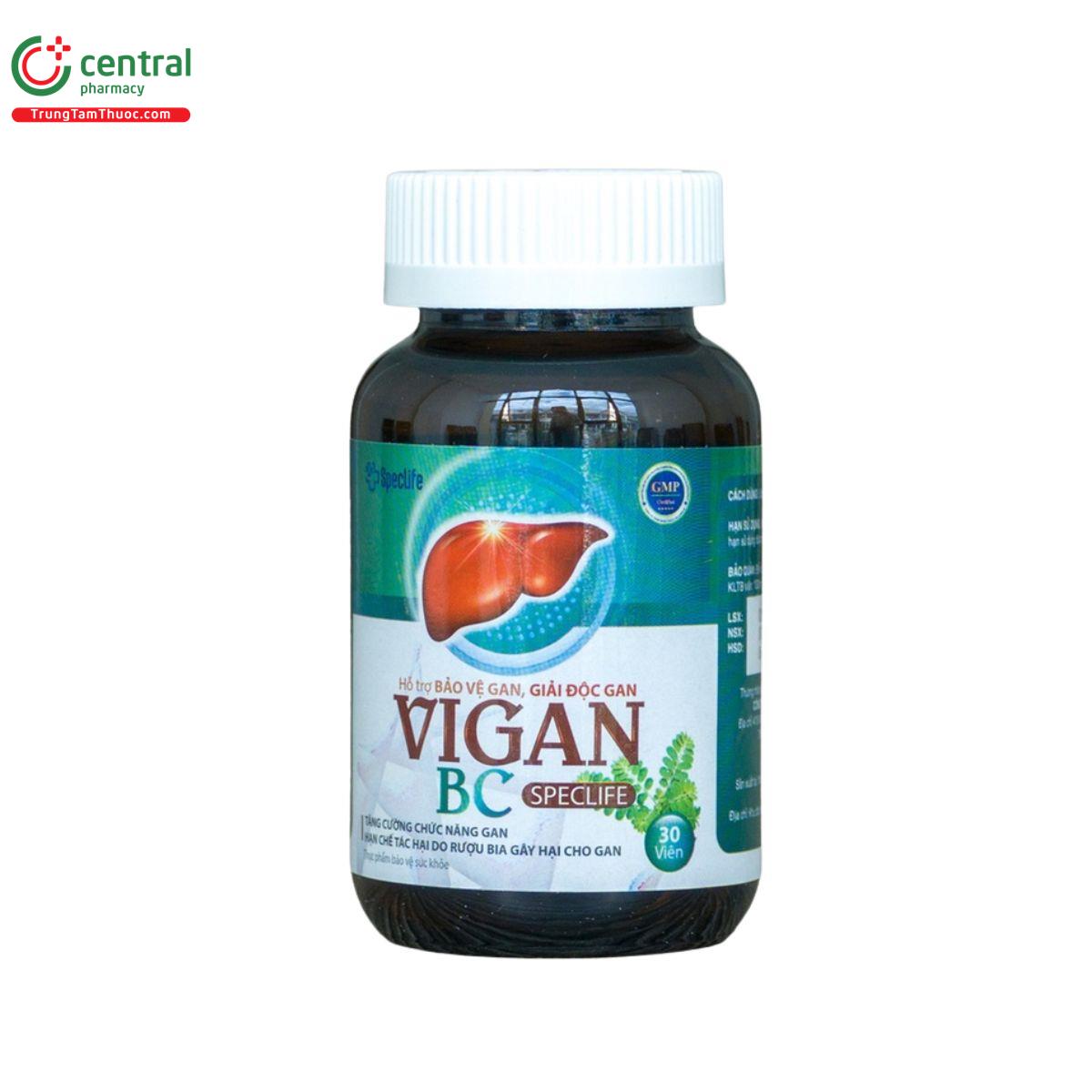 vigan bc speclife 6 B0835