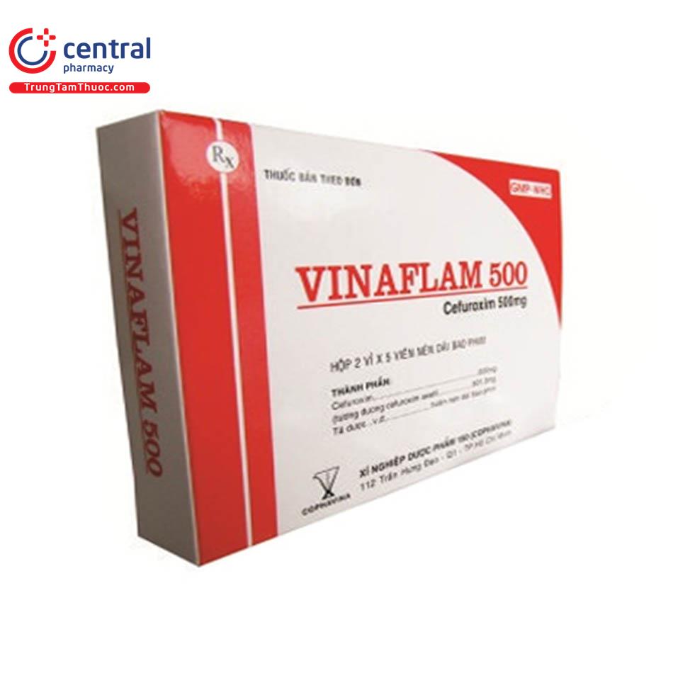 vinaflam2 J4870