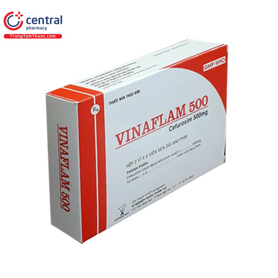 vinaflam4 Q6006