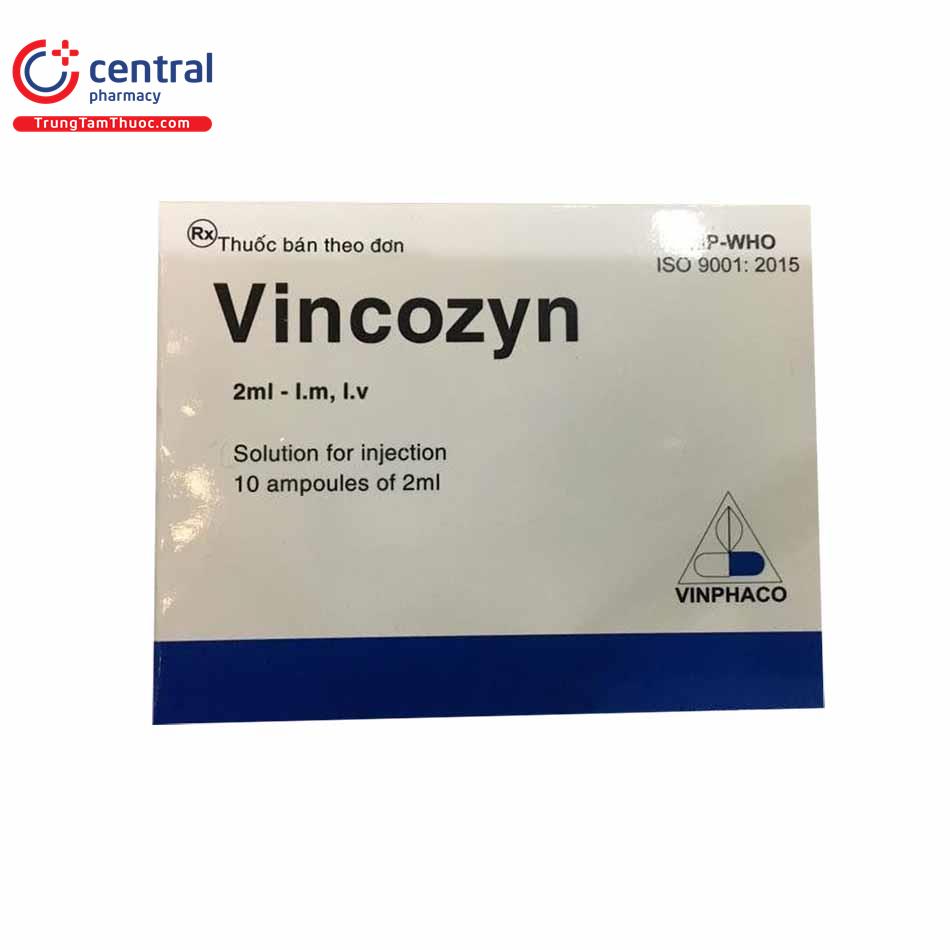 vincozyn4 D1324