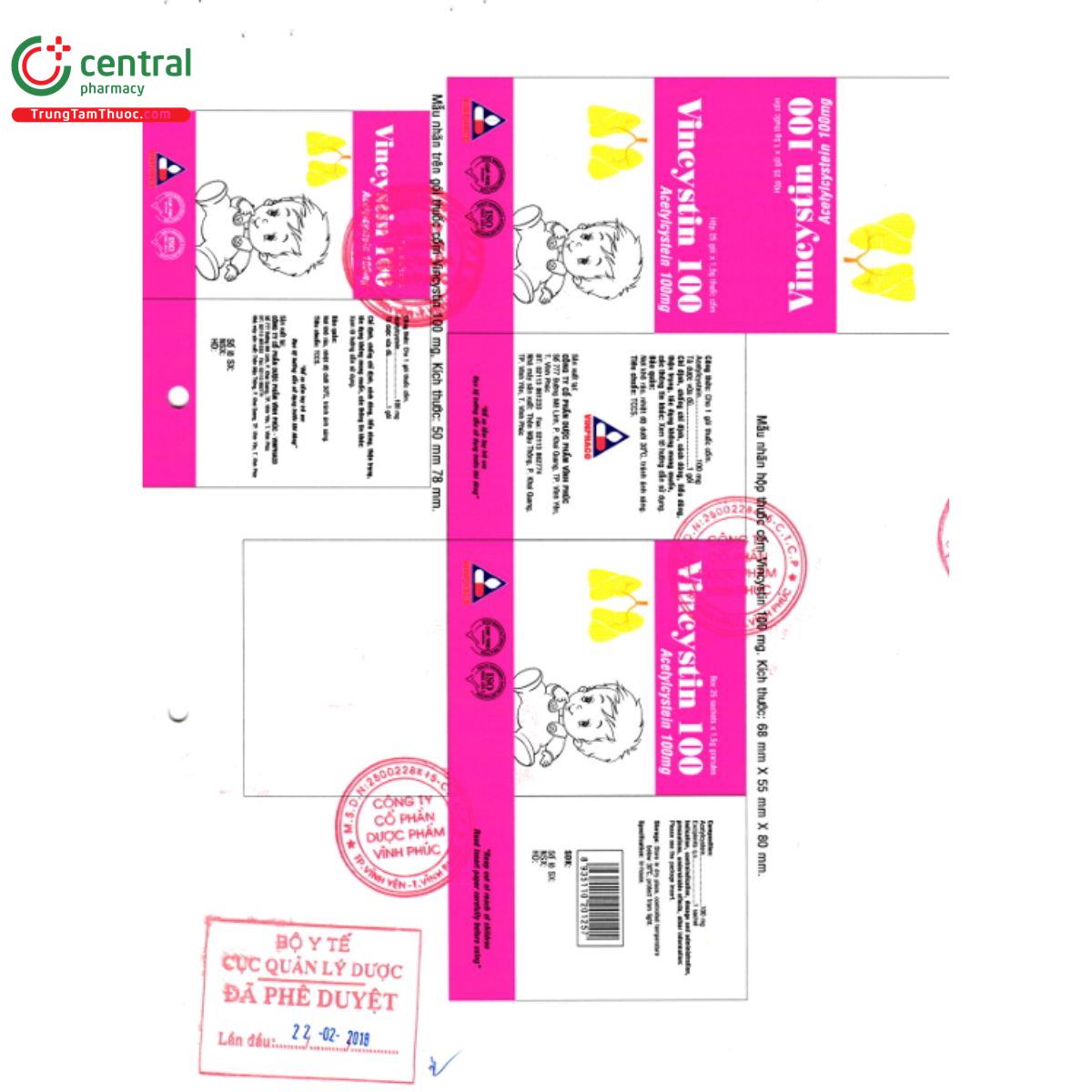 vincystin 100 6 J4538 vincystin 100 6 J4538