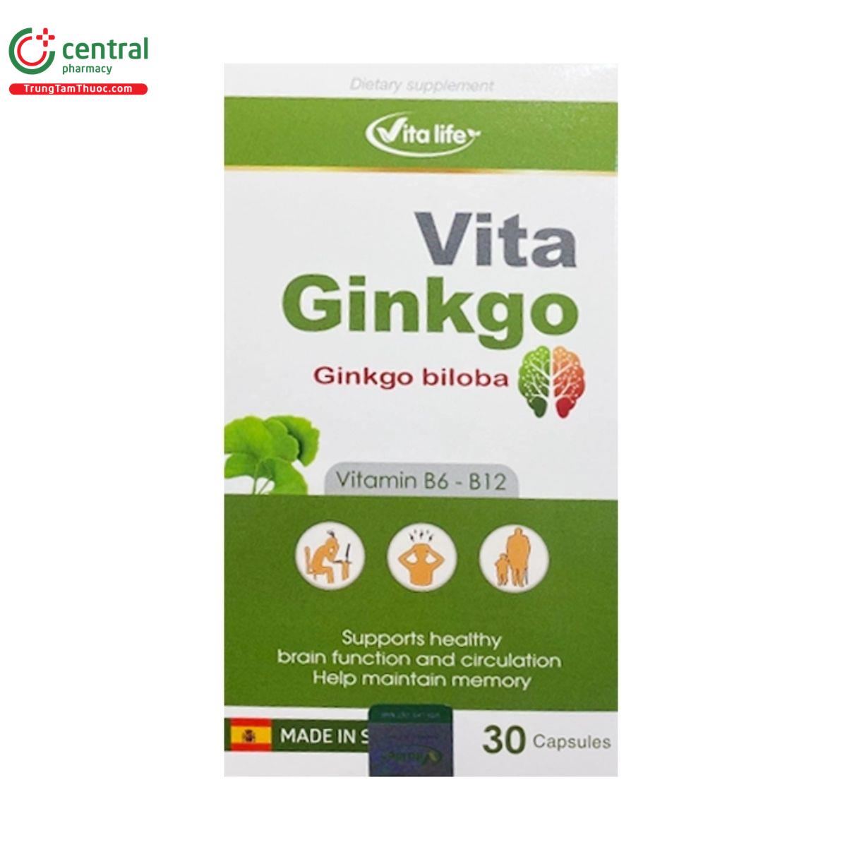vita ginkgo 1 P6542