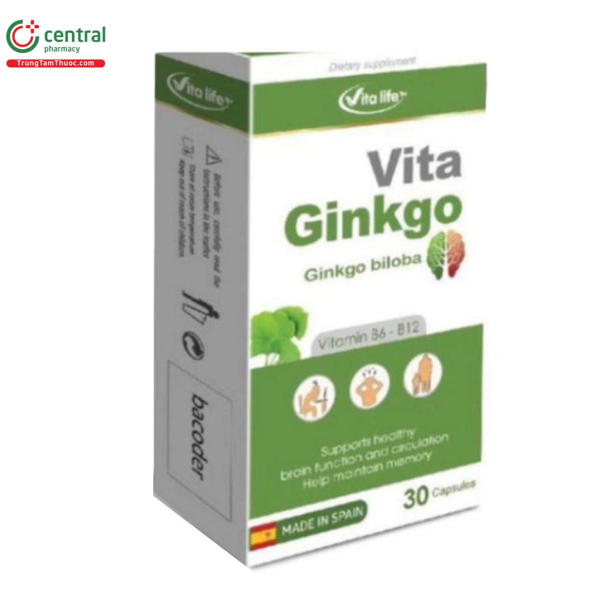 vita ginkgo 3 L4082