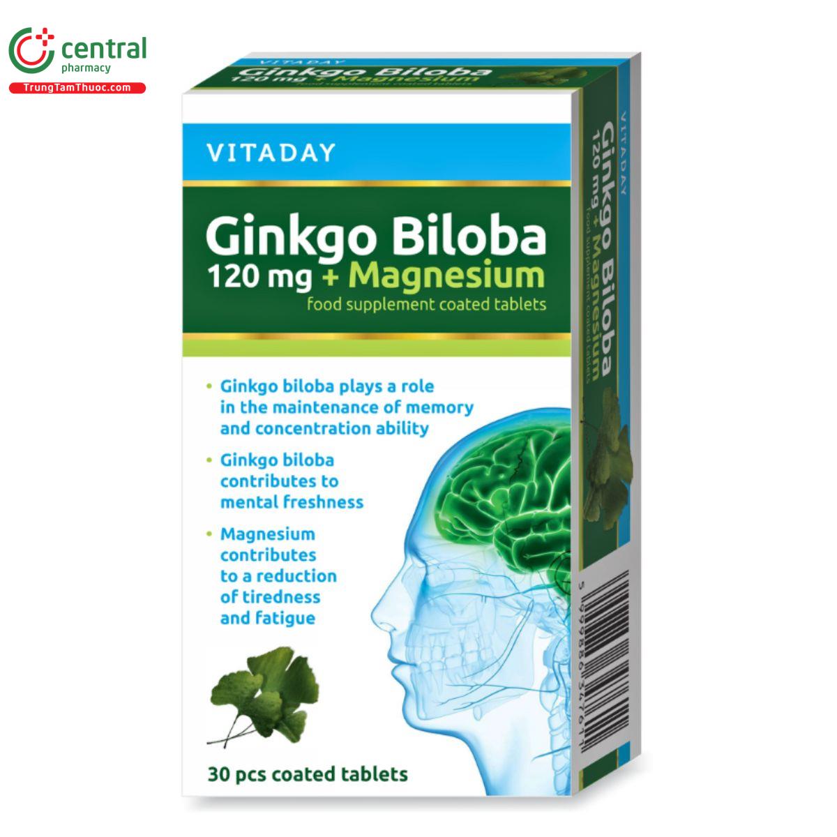 vitaday ginkgo biloba 120mg magnesium 1 G2247